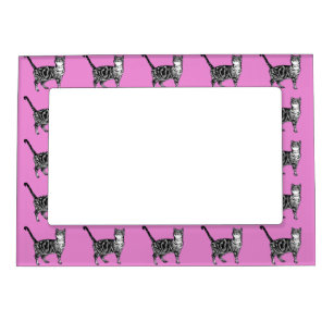 Tabby Cat Cute Cats Pastel Hot Pink Photo Frame
