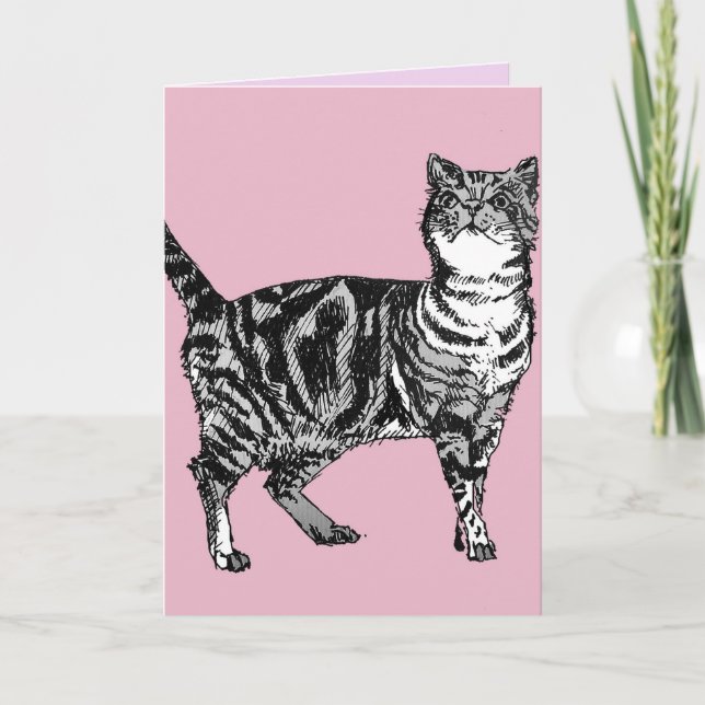 Tabby Cat Cute Cats Pink Art Drawing Birthday Card (Front)
