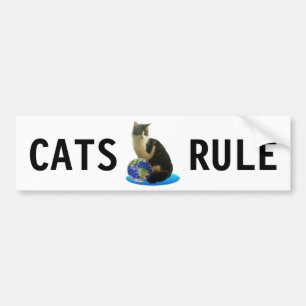 Tabby Cat & Earth Globe Bumper Sticker