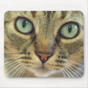 Tabby Cat Face Close Up Mouse Pad