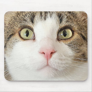 tabby cat face mouse pad