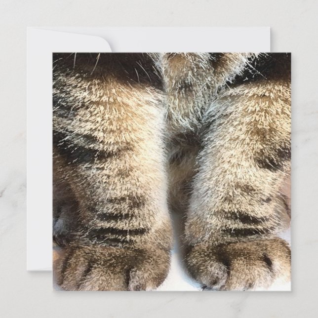 Tabby cat Flat Card, Tabby, Tabby Legs, (Front)