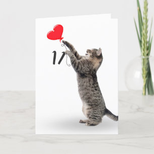 Tabby Cat for 11th Birthday card