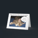 Tabby Cat Granddaughter Personalised Birthday Card<br><div class="desc">Greeting card tabby cat granddaughter birthday card. Customise with any text then have it printed and sent to you or download it instantly to your mobile device. Should you require any help with customising then contact us through the link on this page. Tabby cat personalised granddaughter birthday card that you...</div>