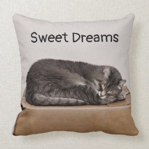 Tabby Cat Gray Sleeping On Box Cushion