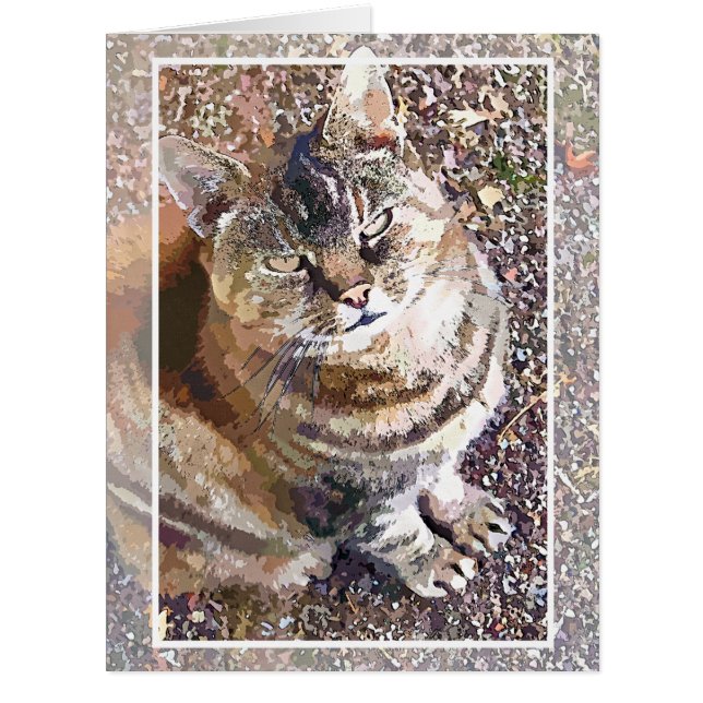 TABBY CAT GREETING CARD (Front)