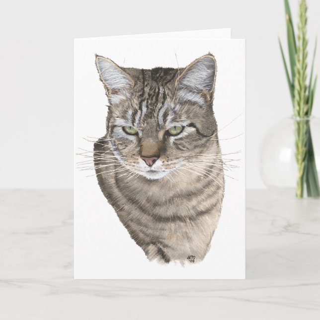 Tabby Cat Head Study Greeting Card (Front)