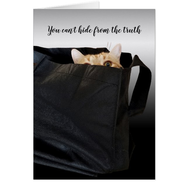 tabby cat in black bag (Front)