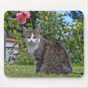 tabby cat in garden mouse pad