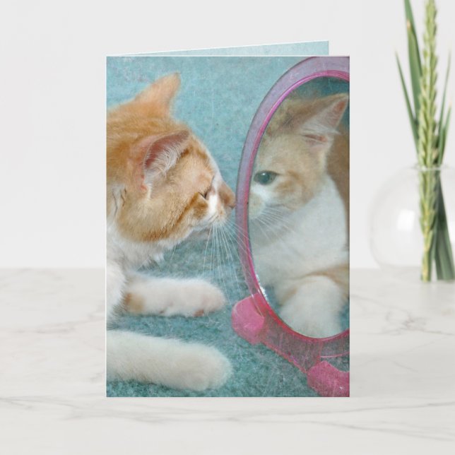 tabby cat in mirror for getting older birthday card (Front)