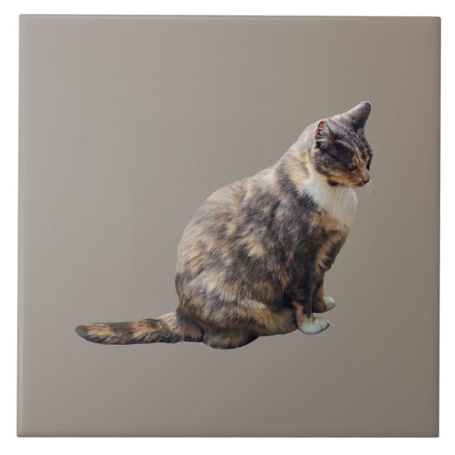 Tabby Cat in Shades of Brown Ceramic Tile (Front)