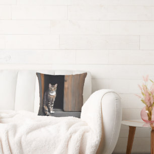 Tabby Cat in Shed Doorway Cushion