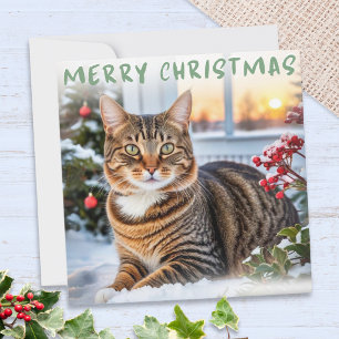 Tabby Cat In Snow Elegant Merry Christmas Holiday Card