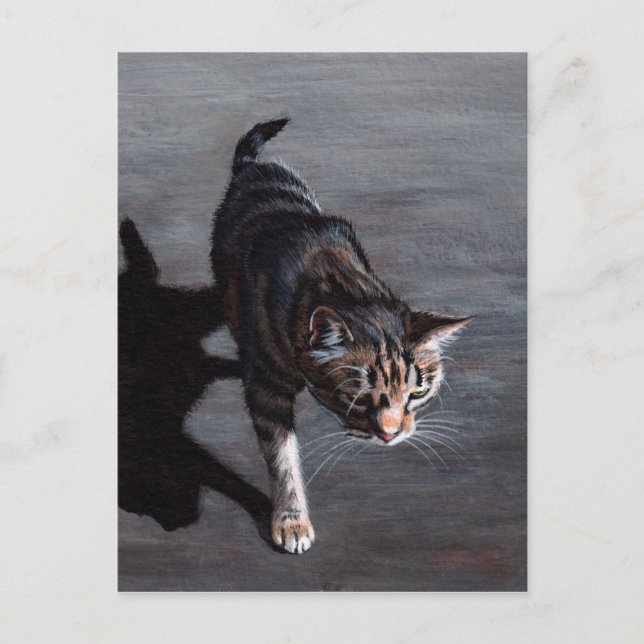 Tabby Cat in Sun with Shadow Postcard (Front)