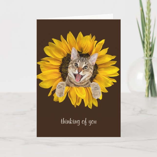 tabby cat in sunflower card (Front)