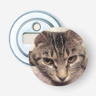 Tabby Cat-Instagram by Shirley Taylor Bottle Opener