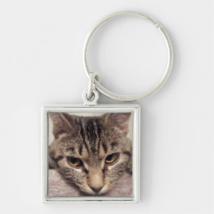 Tabby Cat-Instagram by Shirley Taylor Key Ring