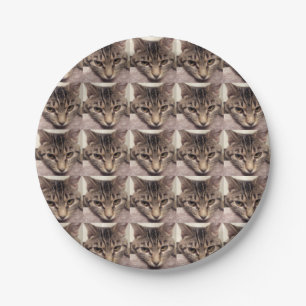 Tabby Cat-Instagram by Shirley Taylor Paper Plate