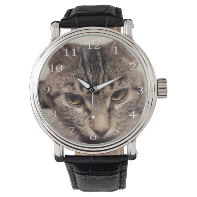 Tabby Cat-Instagram by Shirley Taylor Watch (Front)