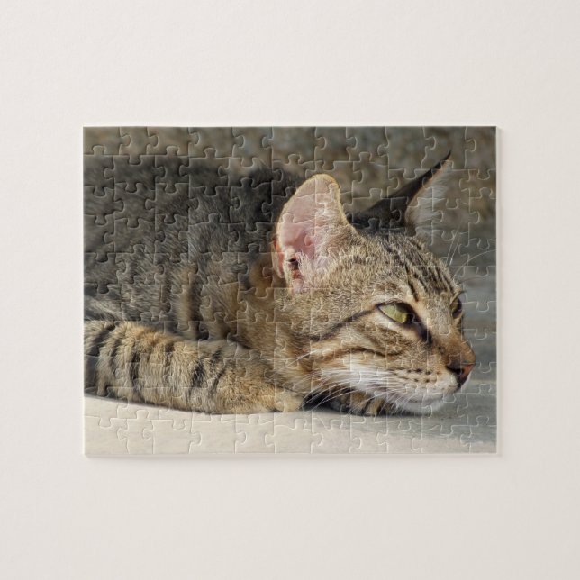 Tabby Cat Jigsaw Puzzle (Horizontal)
