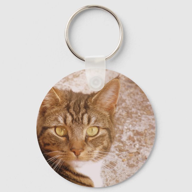 Tabby Cat Key Ring (Front)