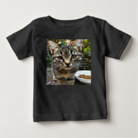 Tabby Cat Kitten Making Eye Contact