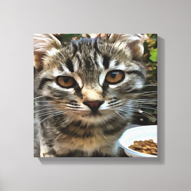 Tabby Cat Kitten Making Eye Contact Canvas Print (Front)