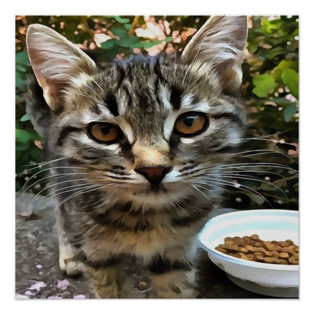 Tabby Cat Kitten Making Eye Contact Poster (Front)