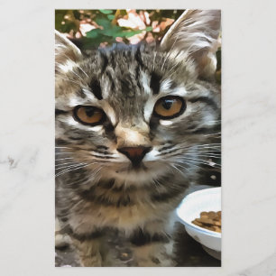 Tabby Cat Kitten Making Eye Contact Stationery