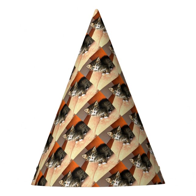 Tabby Cat Kitten Pet Portrait Party Hat (Front)