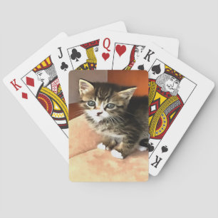 Tabby Cat Kitten Pet Portrait Playing Cards
