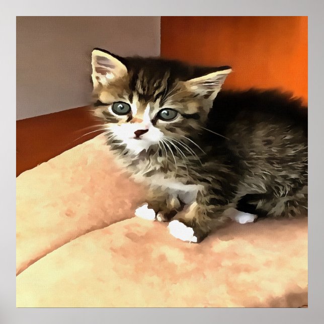 Tabby Cat Kitten Pet Portrait Poster (Front)