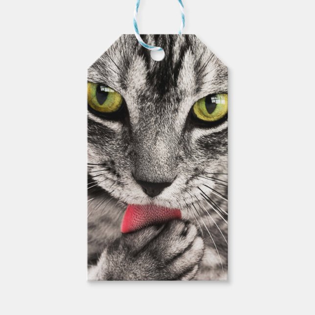 Tabby Cat Licking Paw Gift Tags (Front)