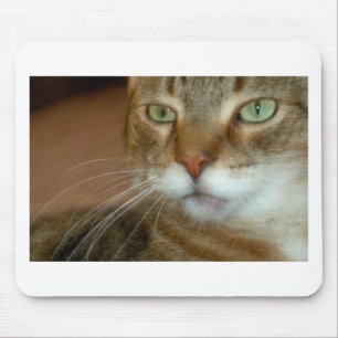 Tabby Cat Love Mouse Pad
