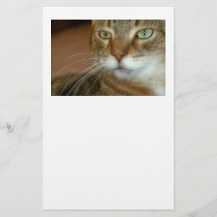 Tabby Cat Love Stationery