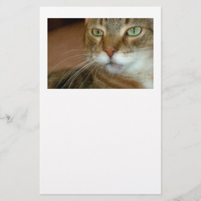 Tabby Cat Love Stationery (Front)