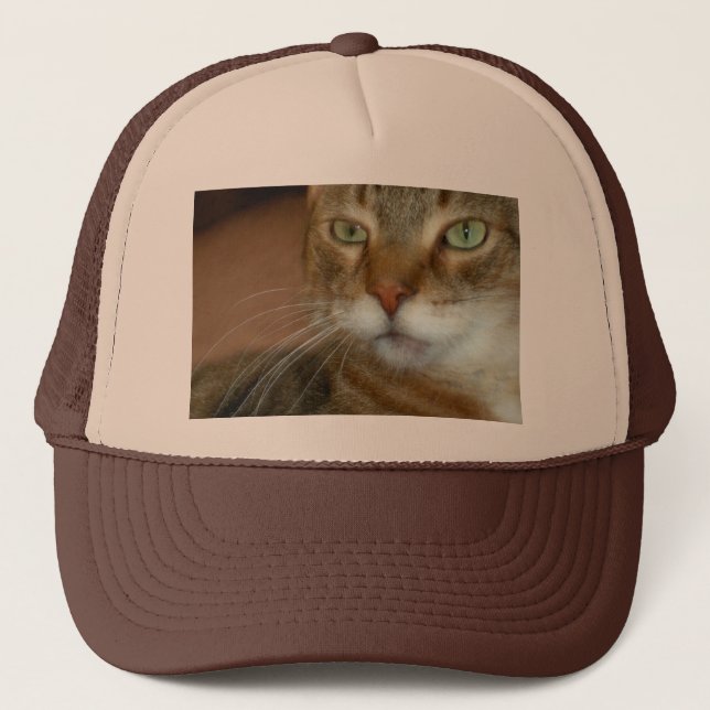 Tabby Cat Love Trucker Hat (Front)