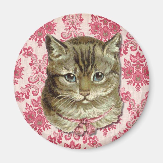 Tabby cat magnet (Front)