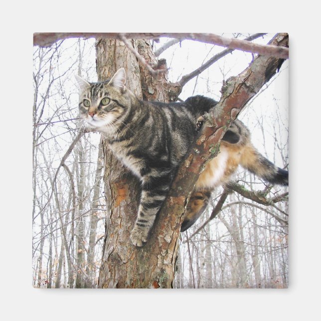 Tabby Cat Magnet (Front)