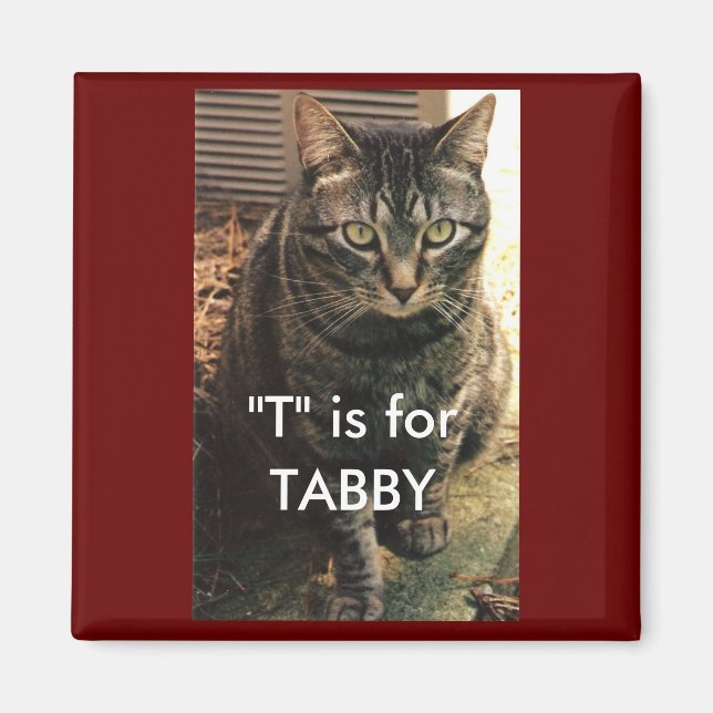 Tabby Cat Magnet Maroon background (Front)