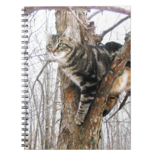 Tabby Cat Notebook