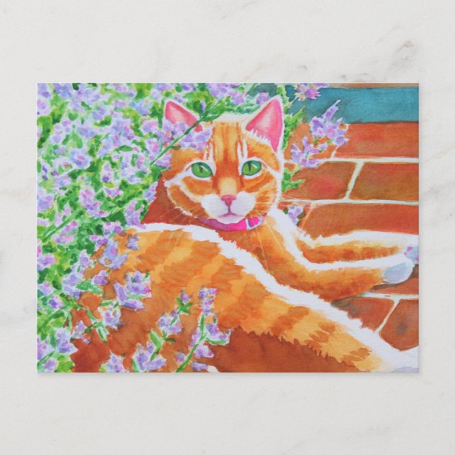 Tabby Cat on Garden Path Postcard (Front)