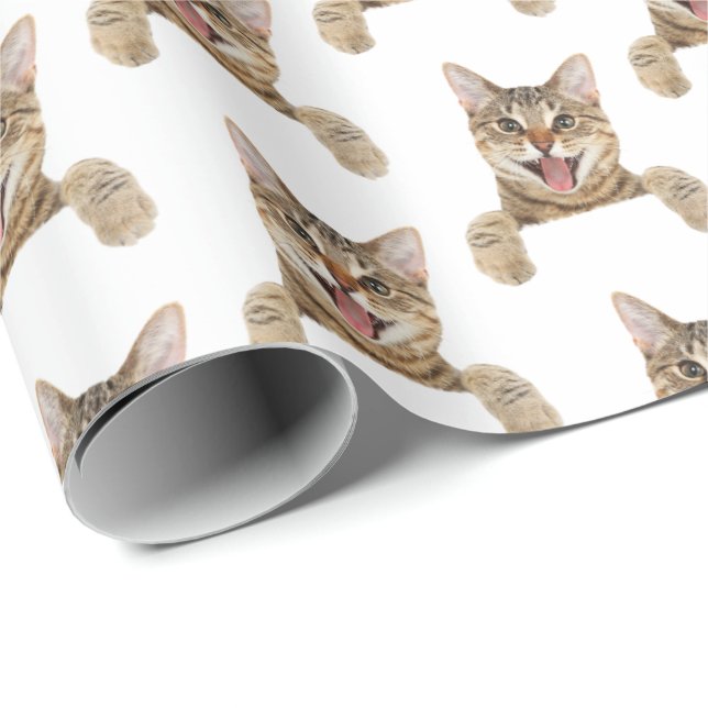 tabby cat on white wrapping paper (Roll Corner)