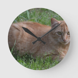 Tabby cat orange round clock