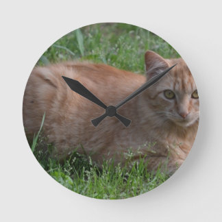 Tabby cat orange round clock