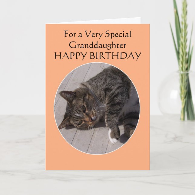 Tabby Cat Personalised Granddaughter Birthday Card (Front)