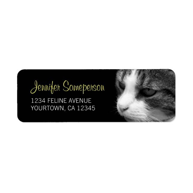 Tabby Cat Photograph Return Address Label (Front)