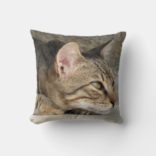 Tabby Cat Pillow