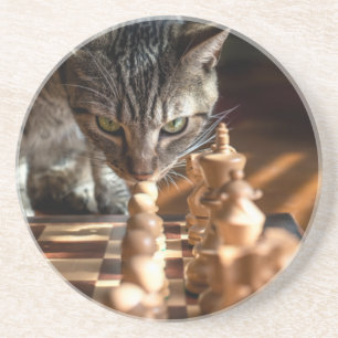 Tabby Cat Playing Chess Coaster