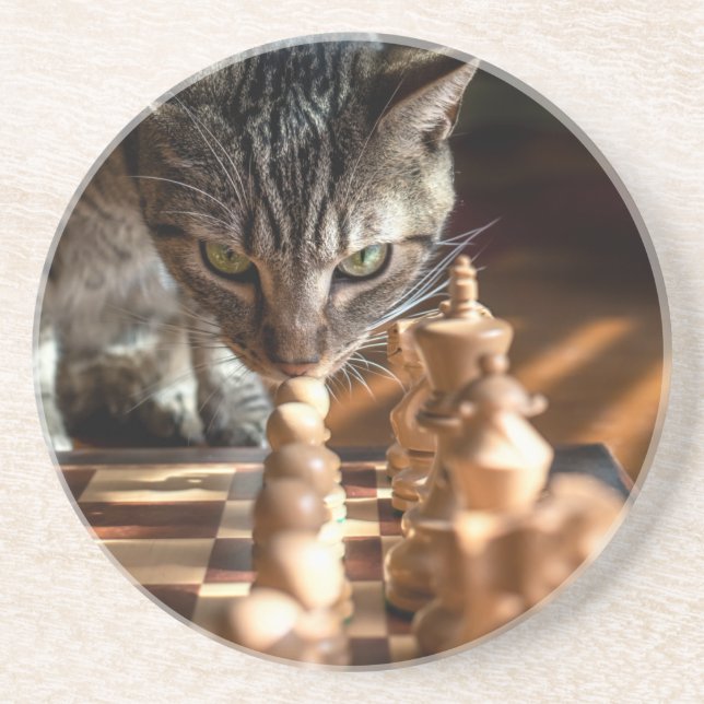 Tabby Cat Playing Chess Coaster (Front)